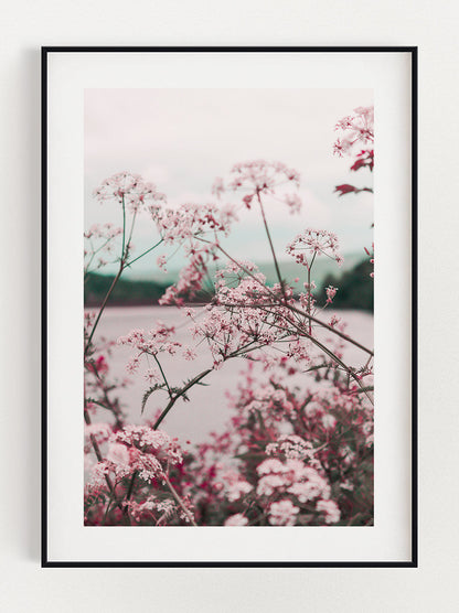 Bloemenveld Poster