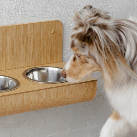 Hangend Houten Voederstation met Wandbescherming — Hond & Kat