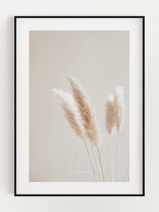 Riet Poster