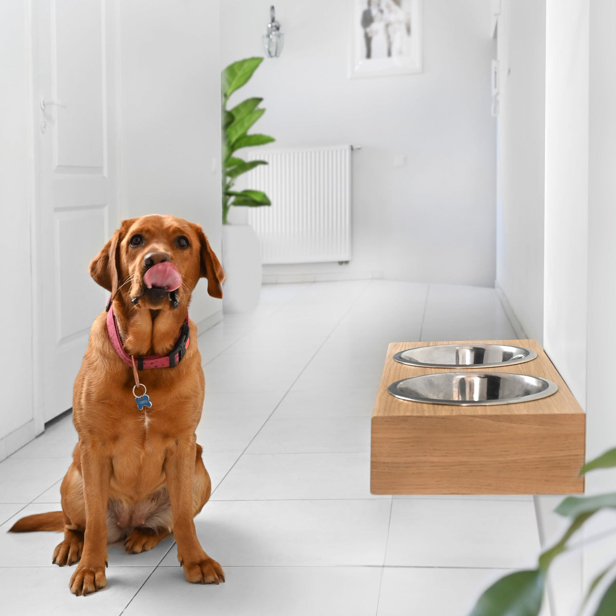 Hangend Houten Voederstation — Wandgemonteerd voor Hond & Kat
