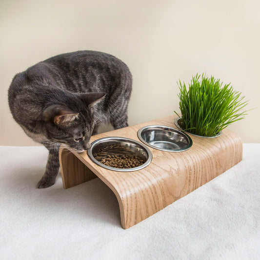 Houten Voederstation voor Hond & Kat — 3 RVS Bakjes